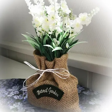 Dreamvalley Apartamento *